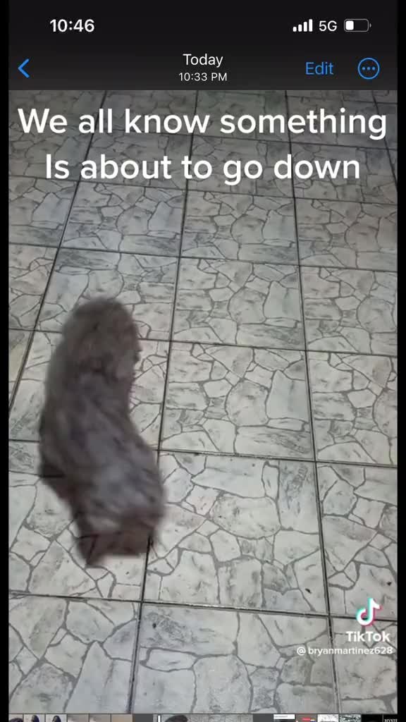@doggyzboyzz