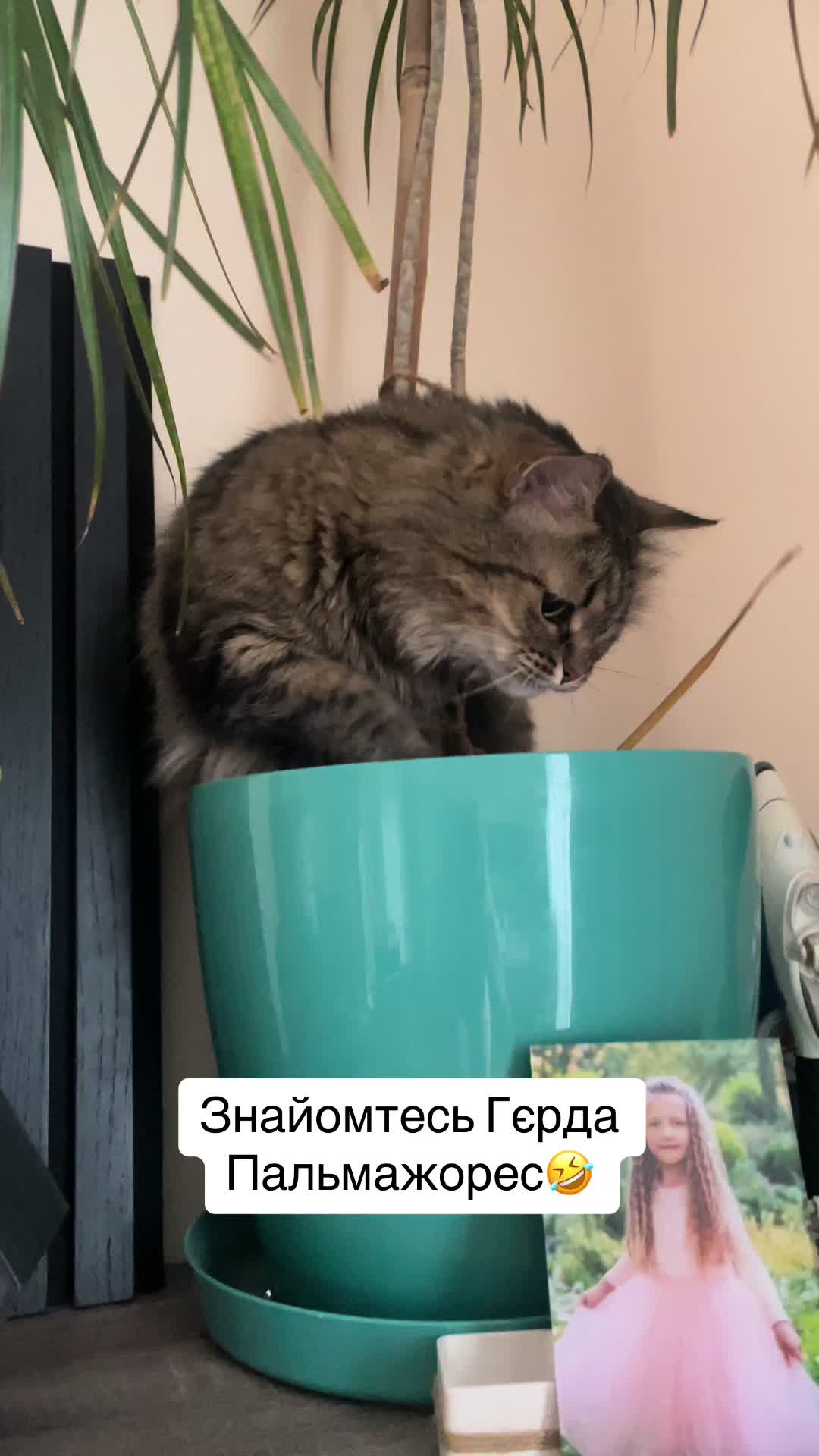 @Олександра Тарасенко-Гріко
