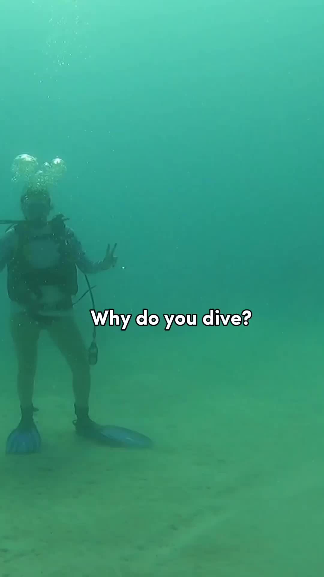 @Divernowmarine