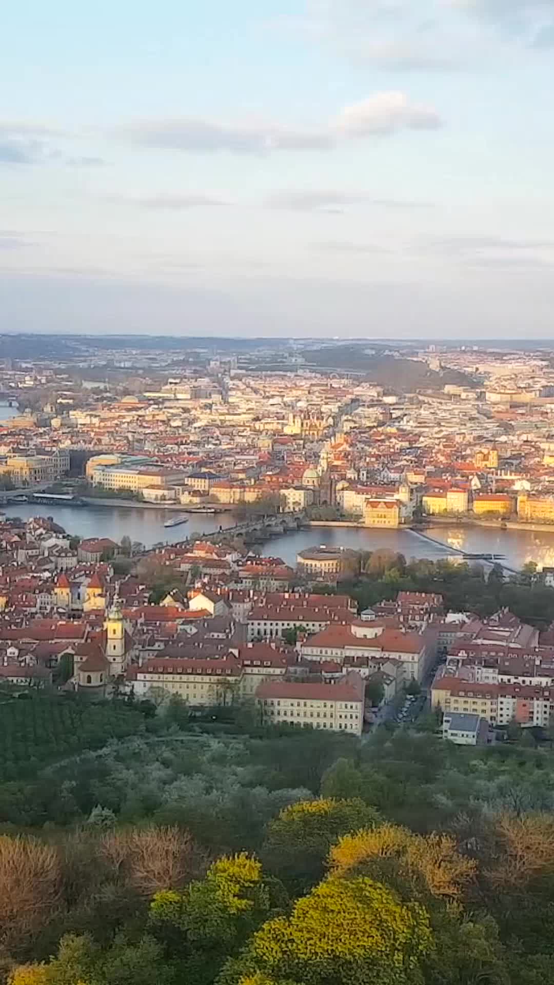 @TravelDino