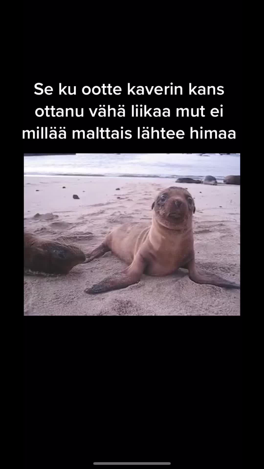 @Viivi Eräpuu