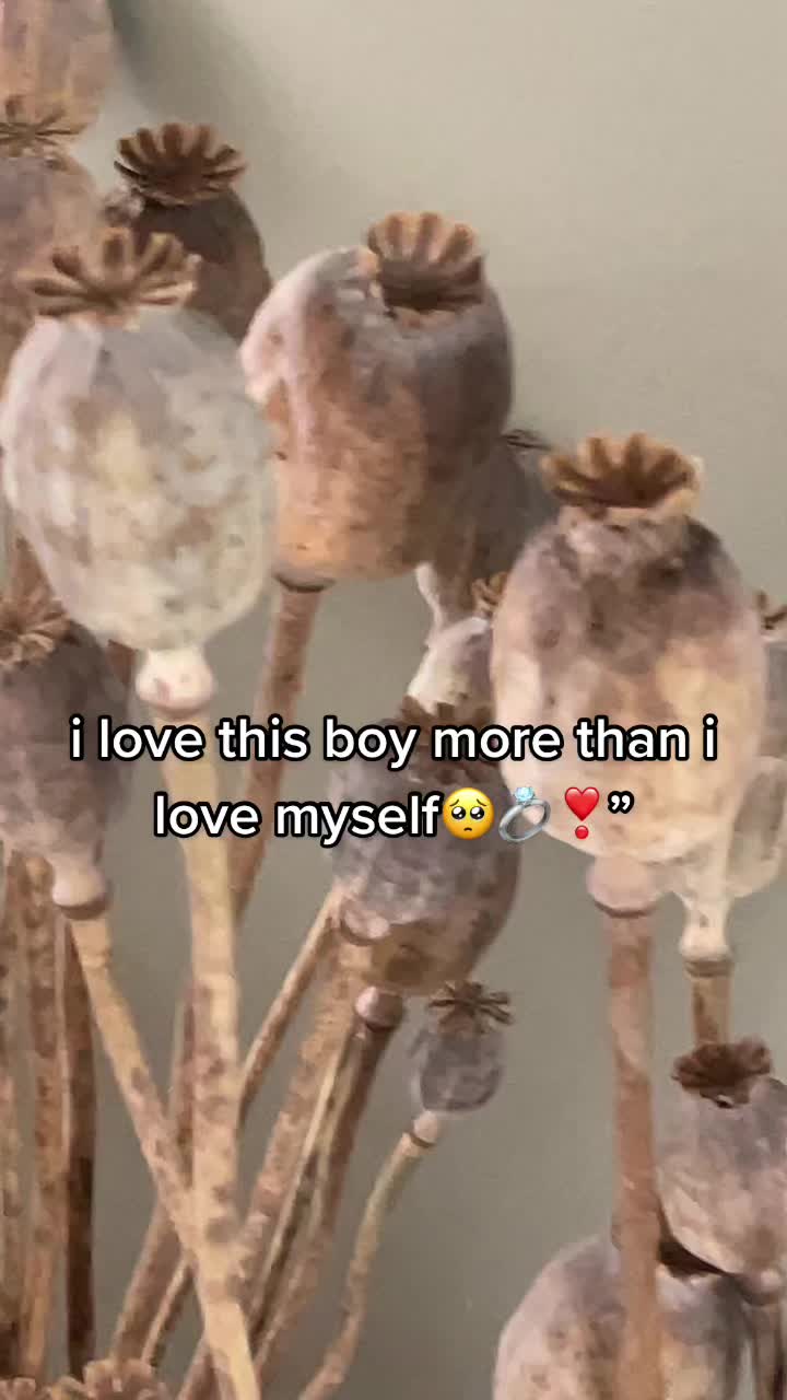 @Simp4life😩.