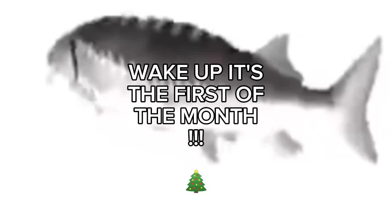@๐ฉ๐๐๐๐