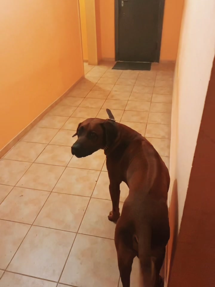 @italyiana