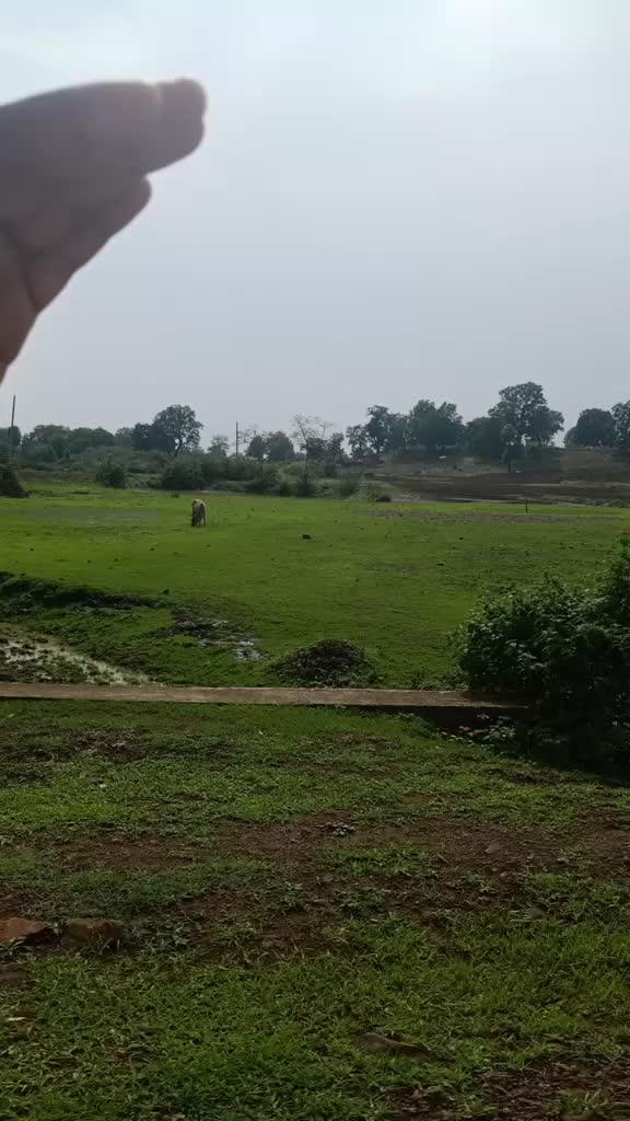 @Vikasmishraji51