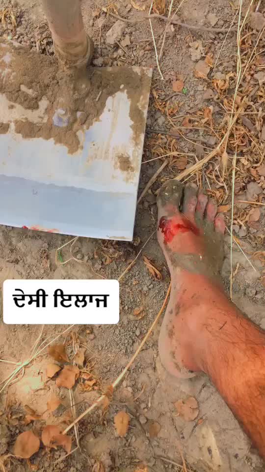 @SEHAJ DHILLONz