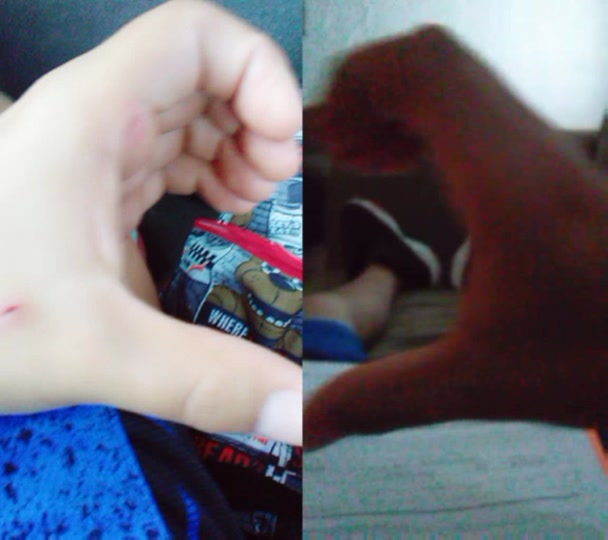 @user651948