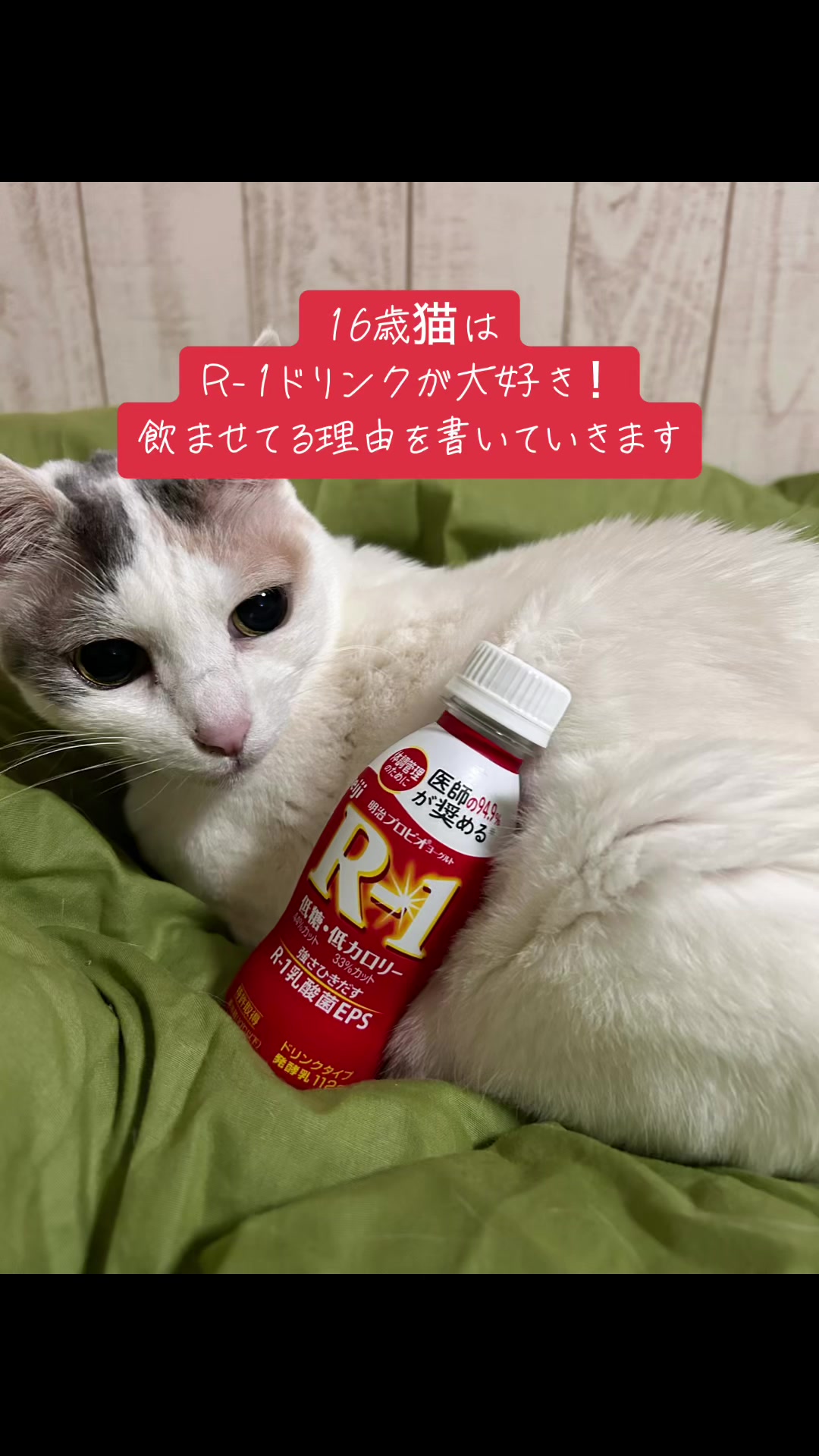 @👑ミキティ👑🙀🍜🙀🌿