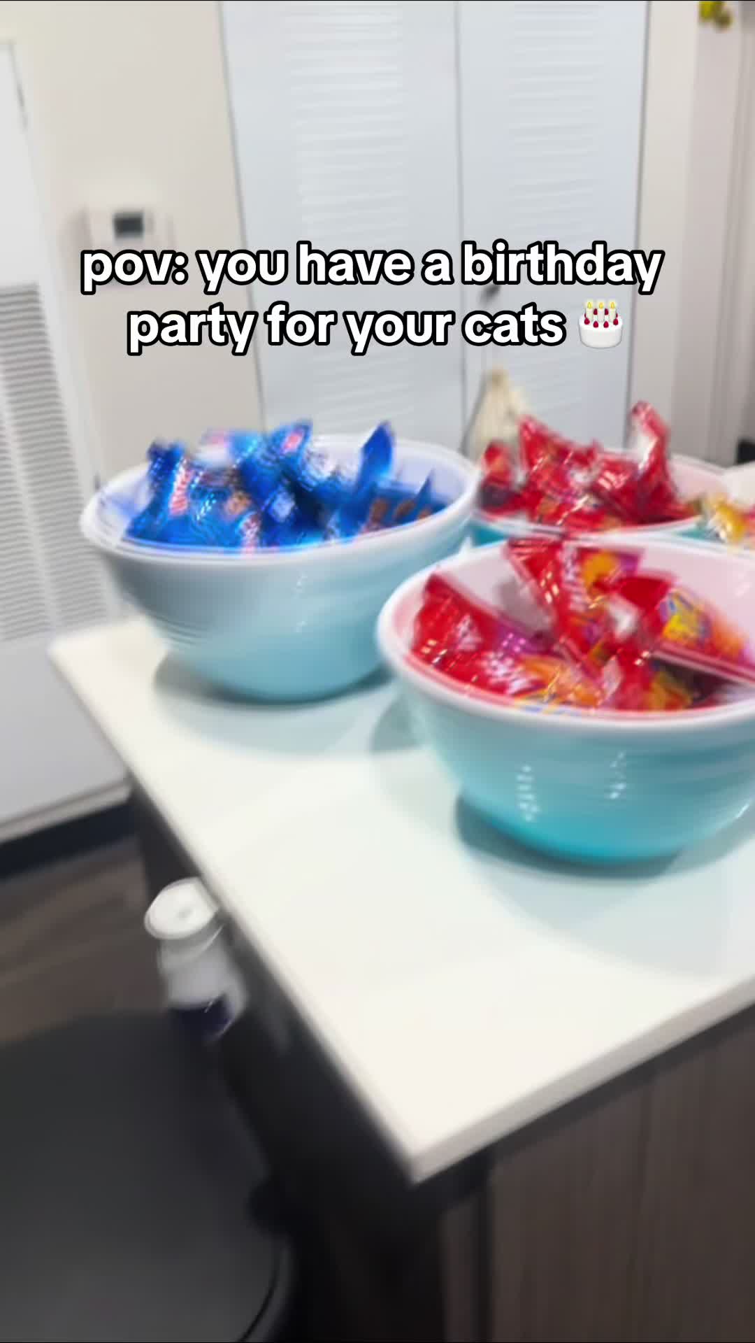 @Ricky and Lucy 🐈⬛