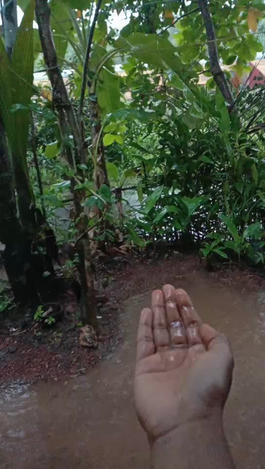 @Sanusha Prasad