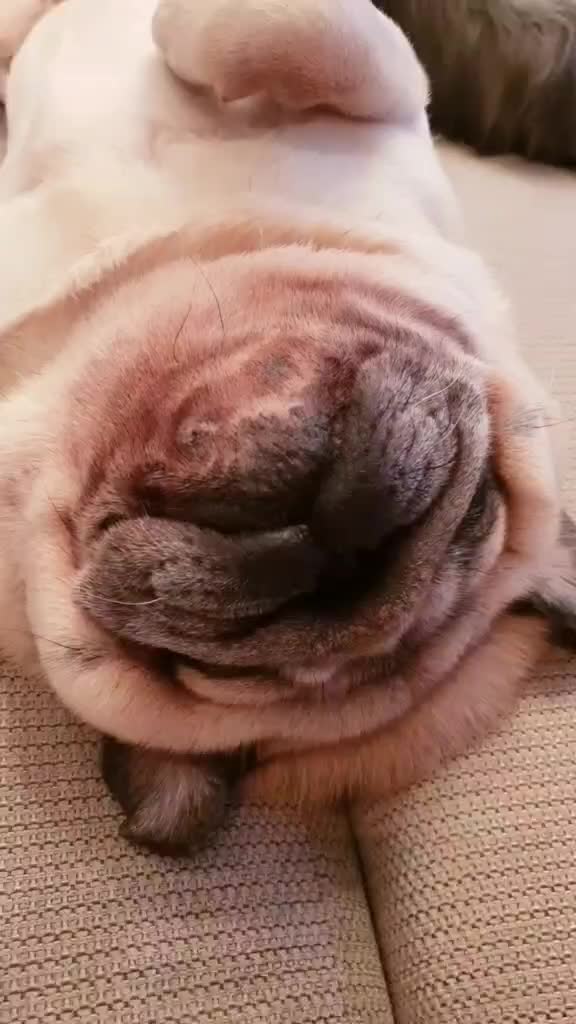 @Ольга
