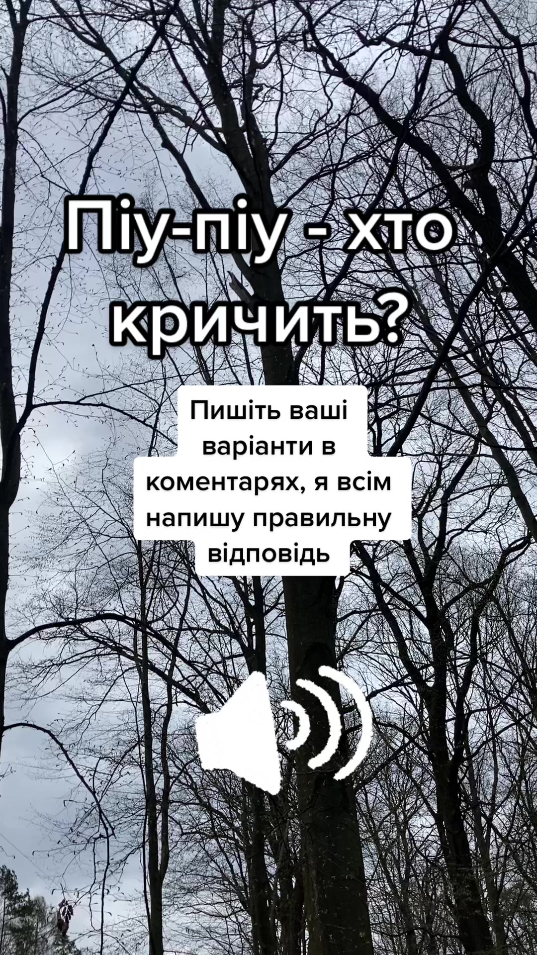 @Птахи, бьордвочинг, орнітолог