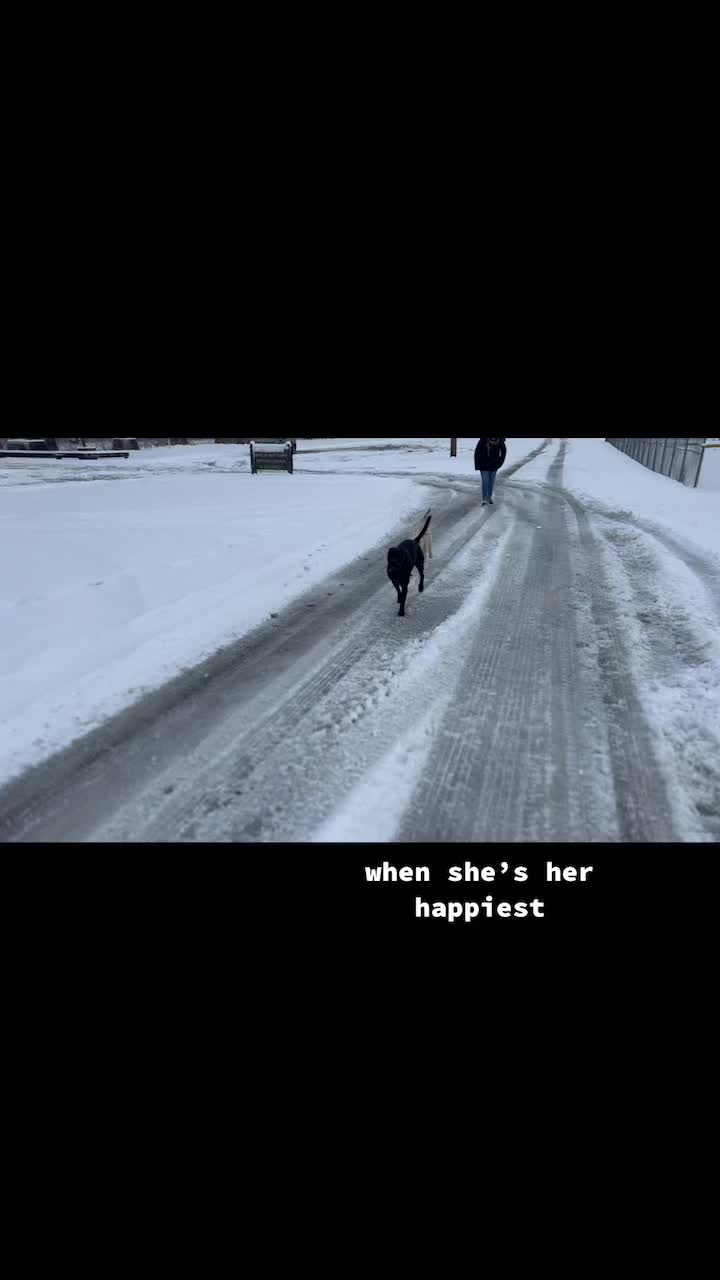 @Katie Szewczynski