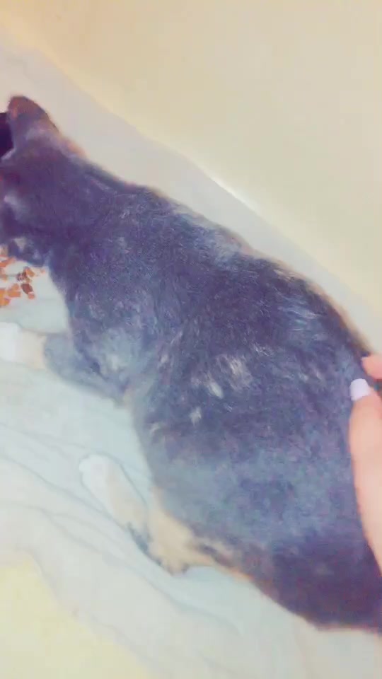 @baby.may-may💕