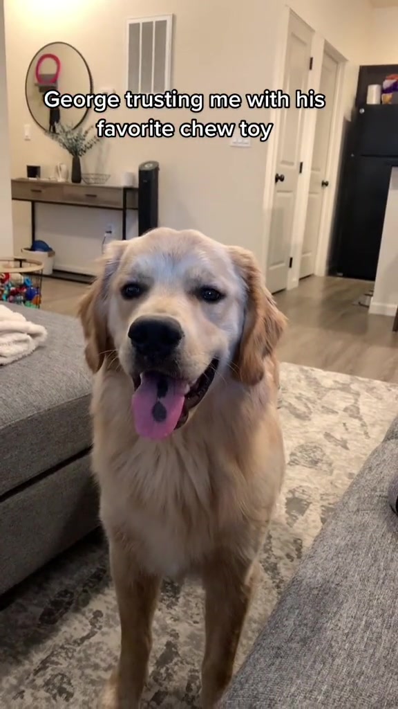 @George The Golden