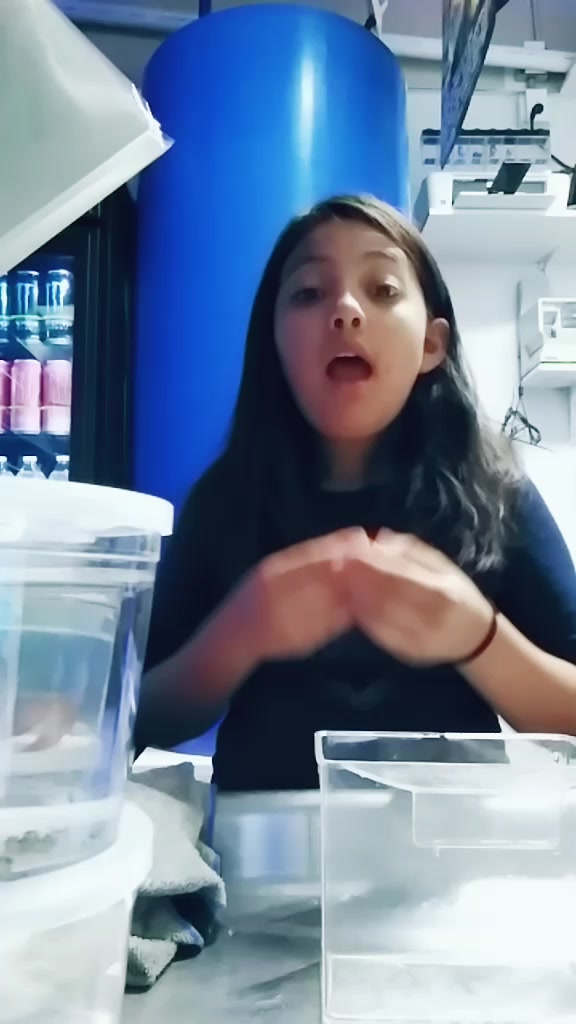 @alina Hernandez