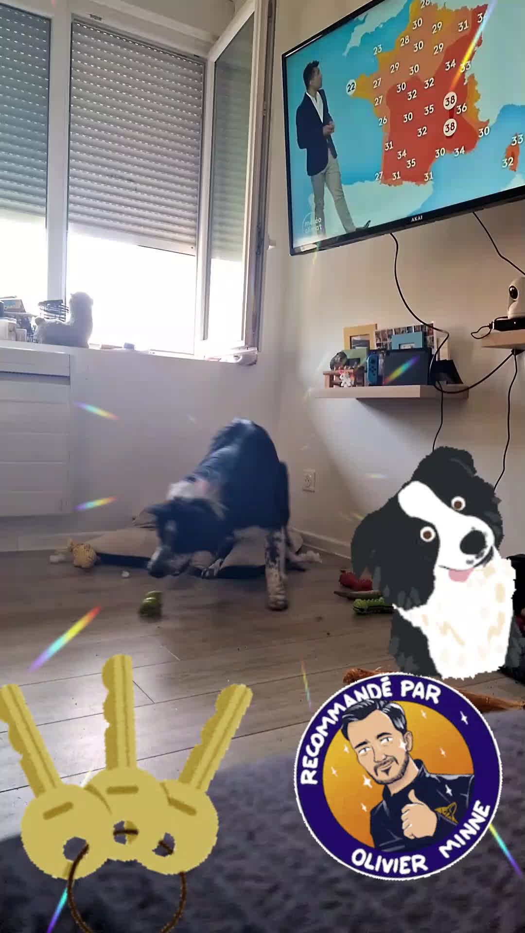 @Marley.0401