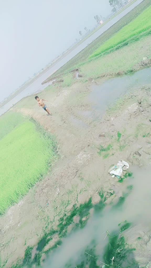 @sukhchain rai