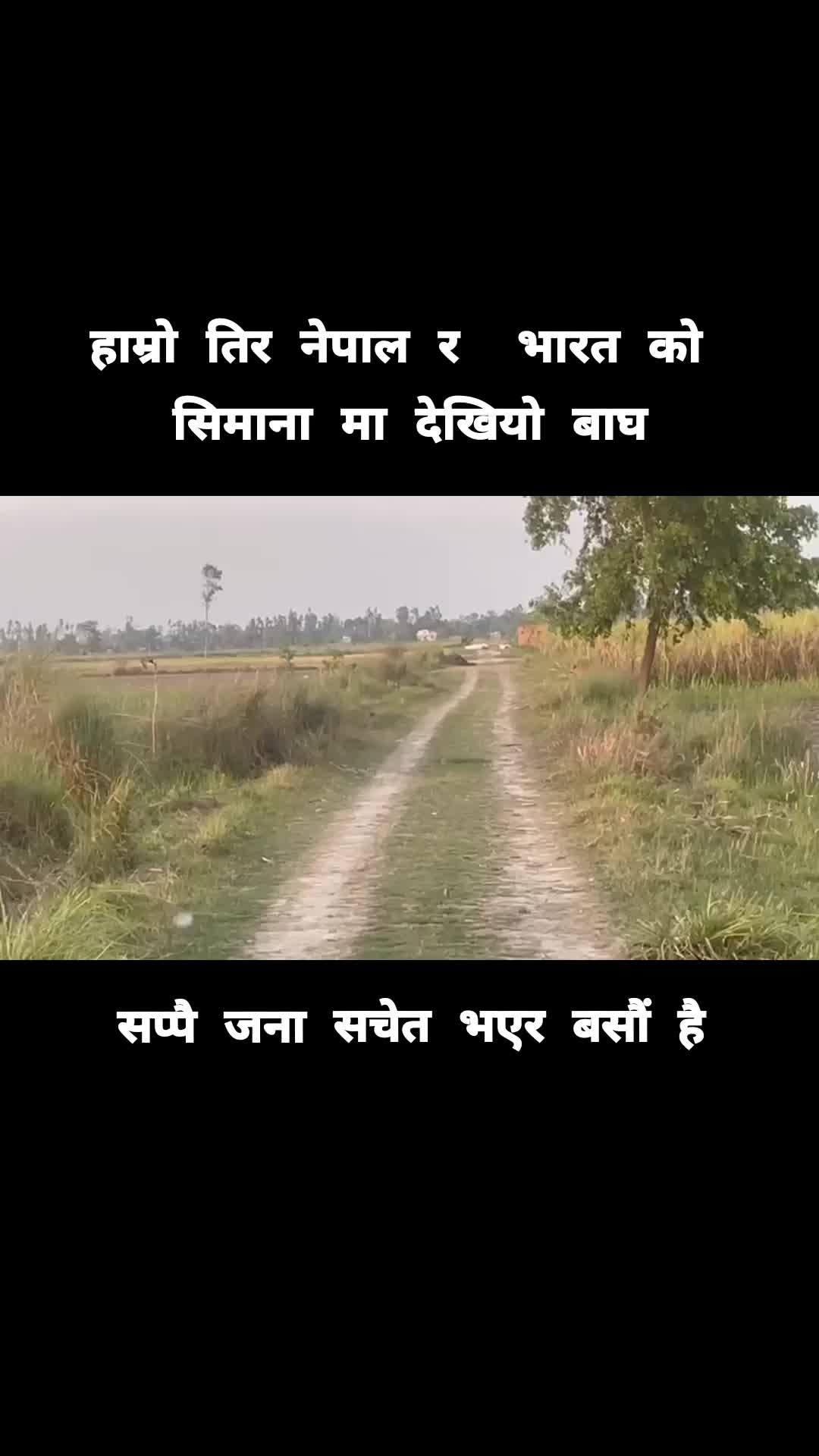 @कर्या कङ्ग्रेहुवा