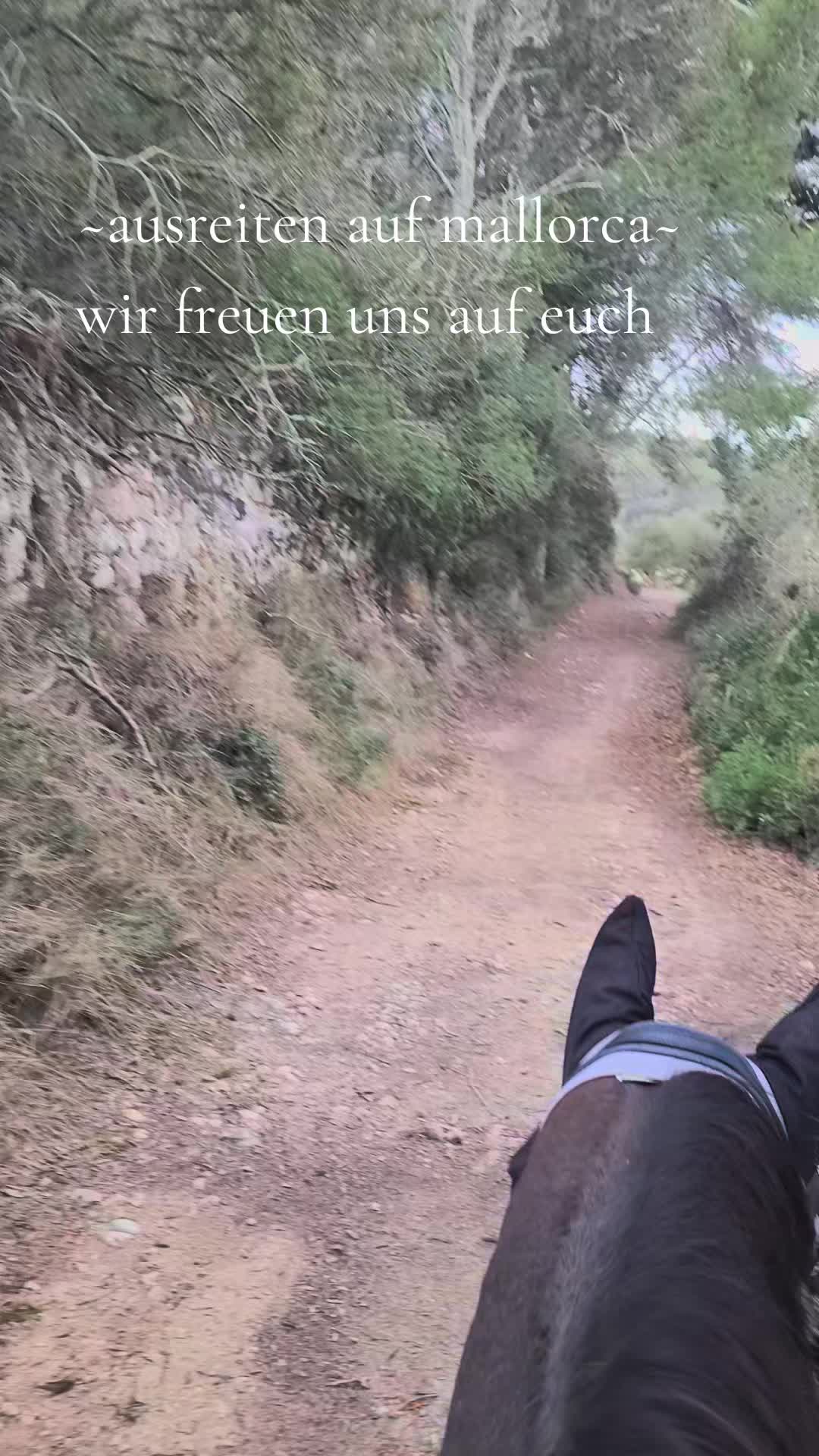 @Mallorcas pippi langstrumpf 🐴