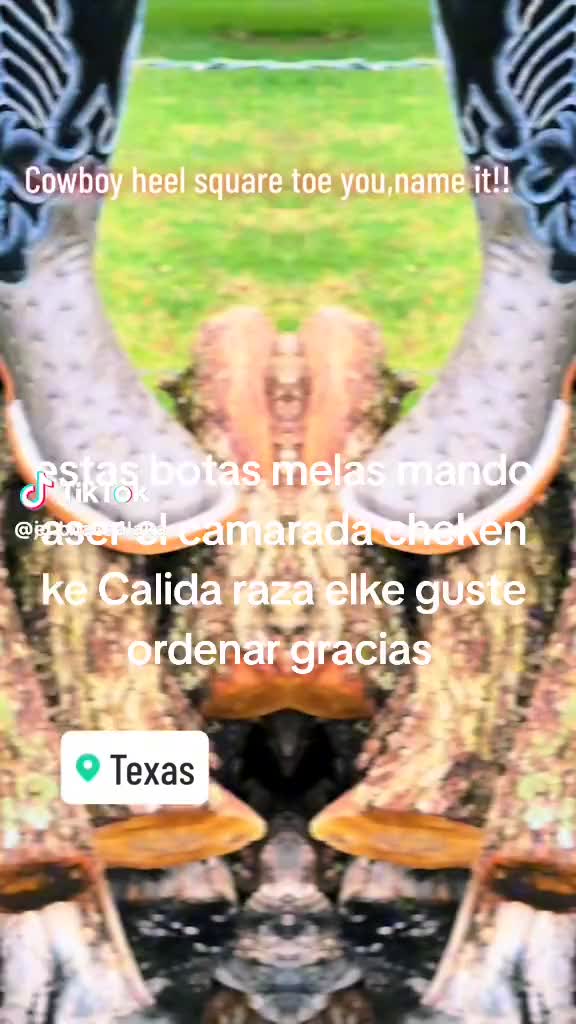@luislopez59323