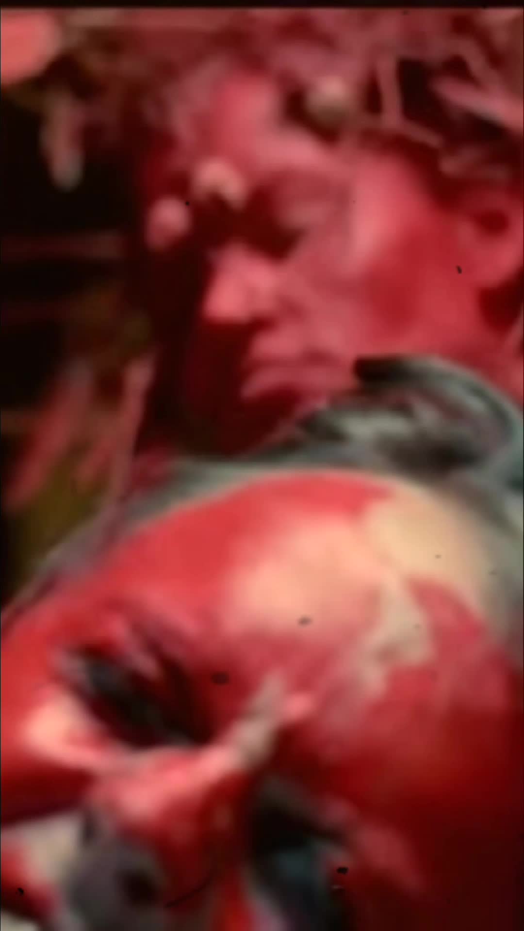 @🐺 𝓧𝓪𝓿𝓲 🐺