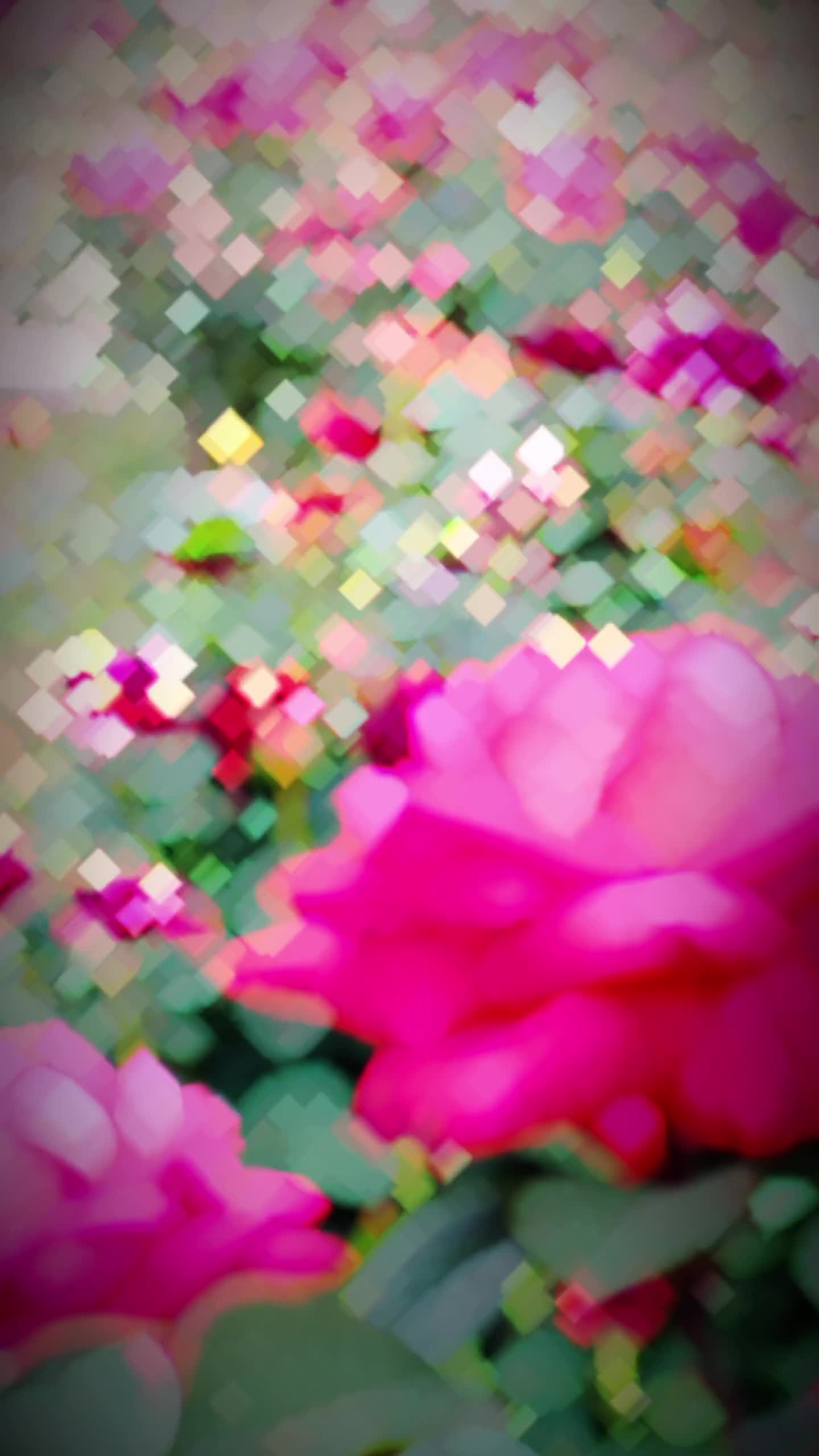 @💞Only_Flowers💞