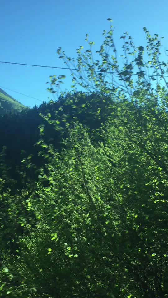 @Ünal Bağdaş