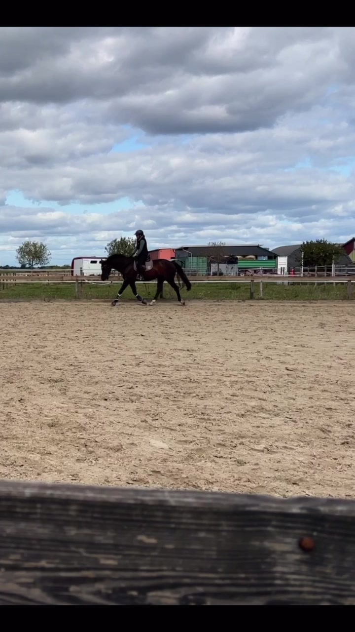 @Equestelli