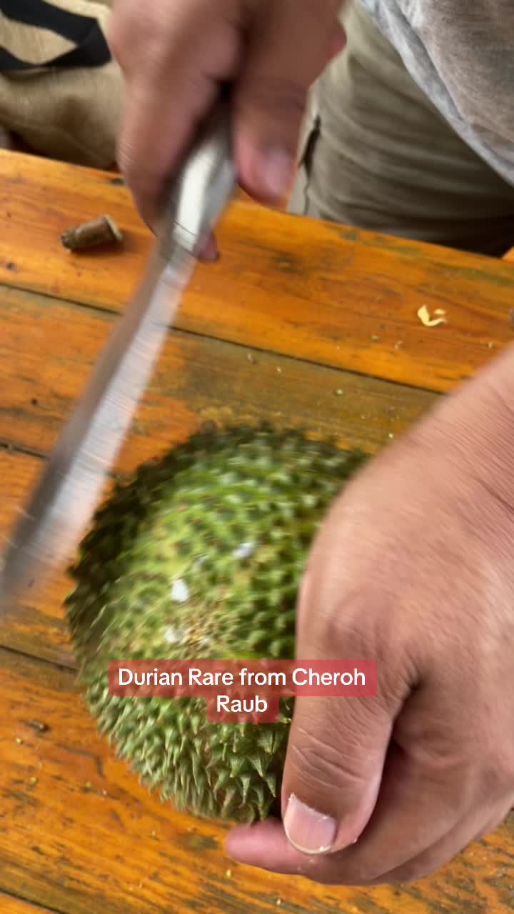 @Durian King Kaki