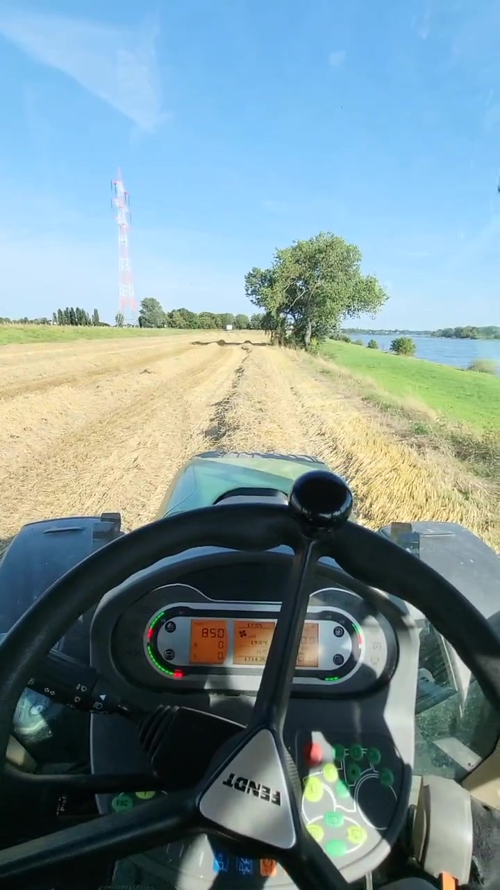 @Gala-Zwerg_MH