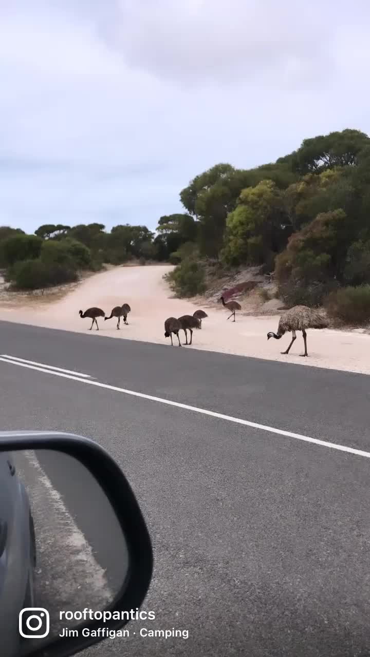 @Marijs | Australia & Euro Trip