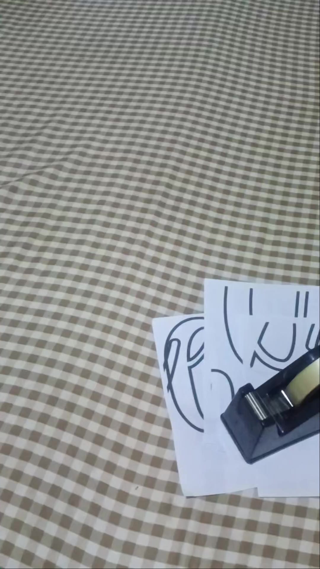 @cesscelib25