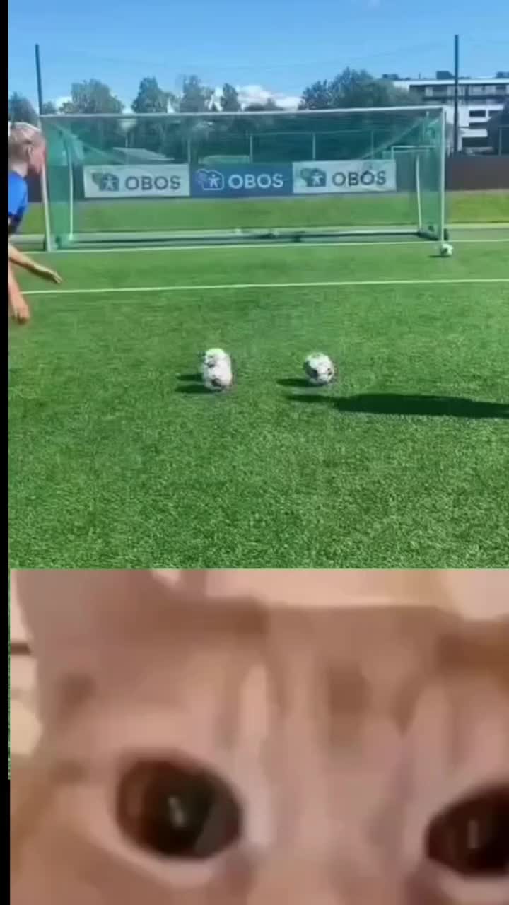 @supreme memes remix 🗿