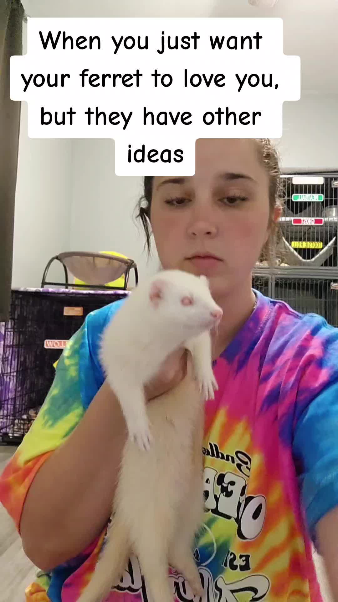 @Mercedese