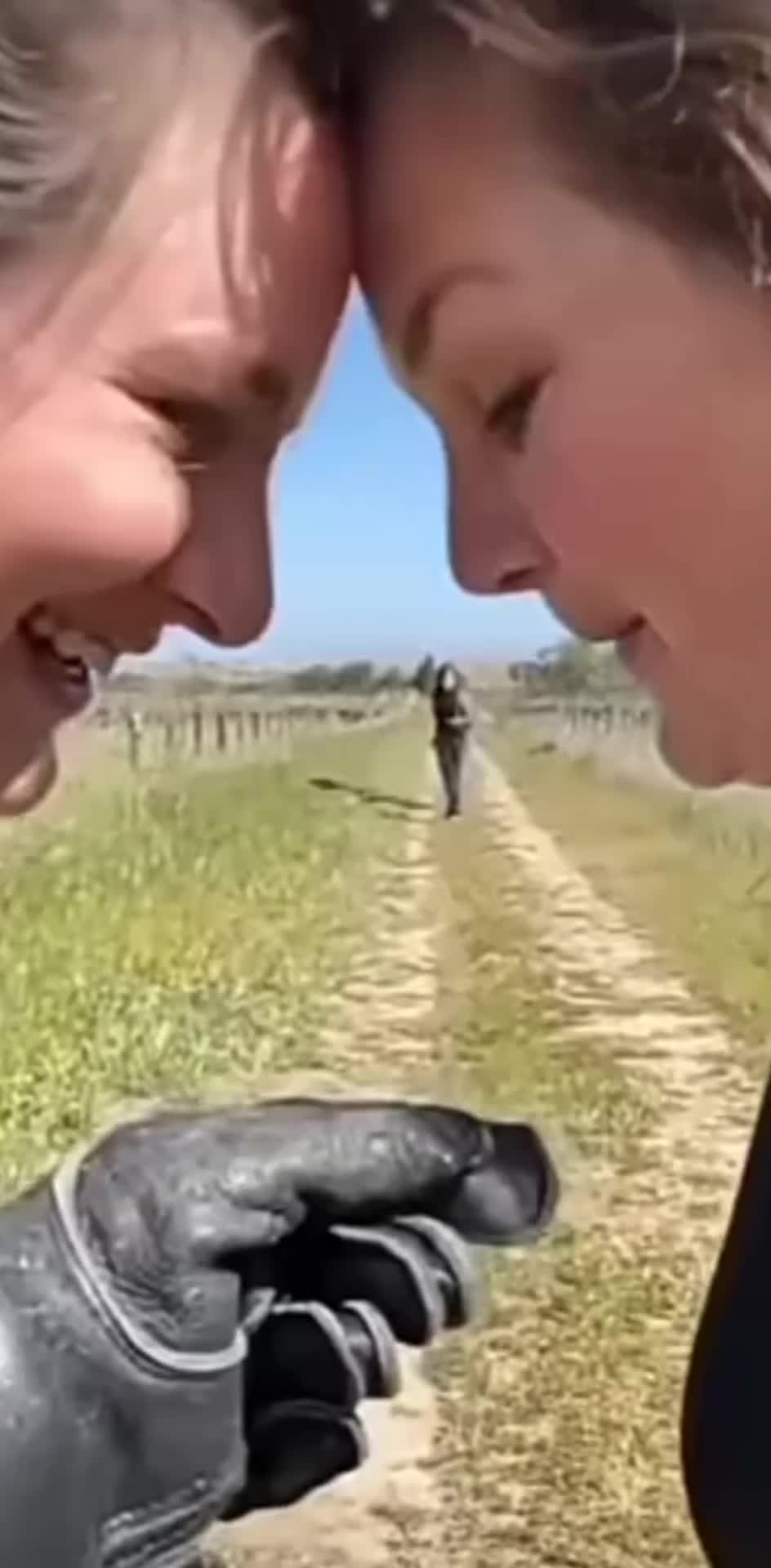 @DropMyBalls