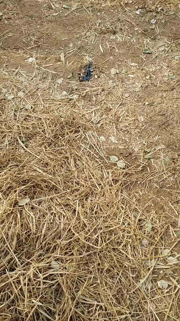 @Prathap Natarajan