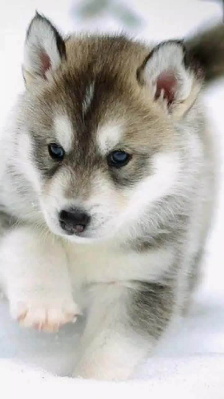 @kerenponce31