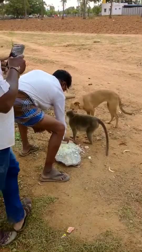 @&Ntilde;&scaron;ŁvrR&atilde;jJ&acirc;į&ntilde;