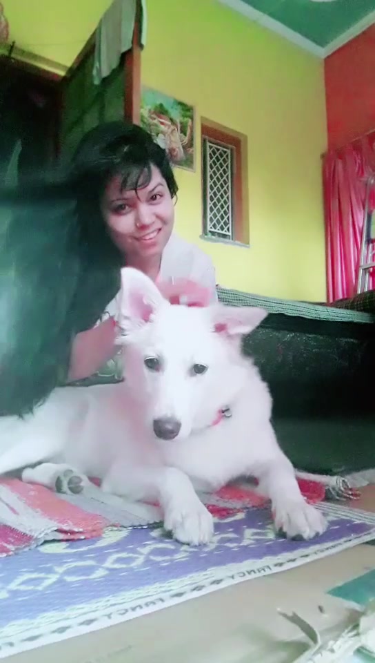@SONI 🦋 KHATRI