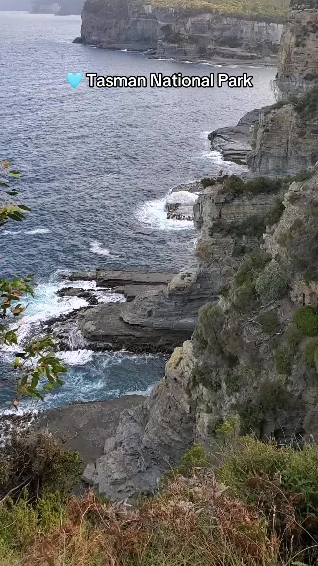 @travelbug