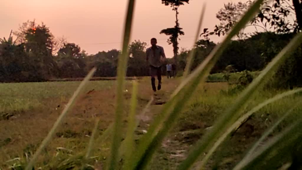 @BimanBhadra700113620
