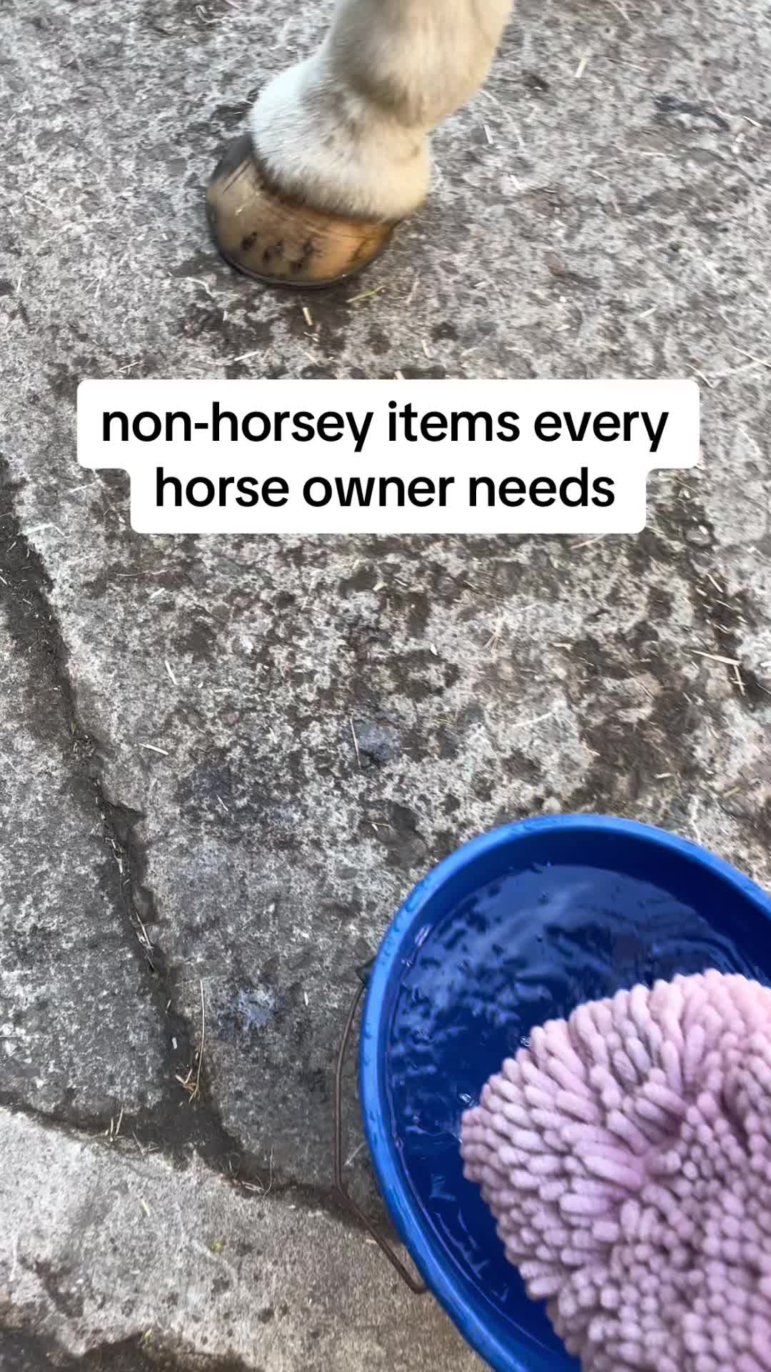 @Yardd | Equine Life Simplified