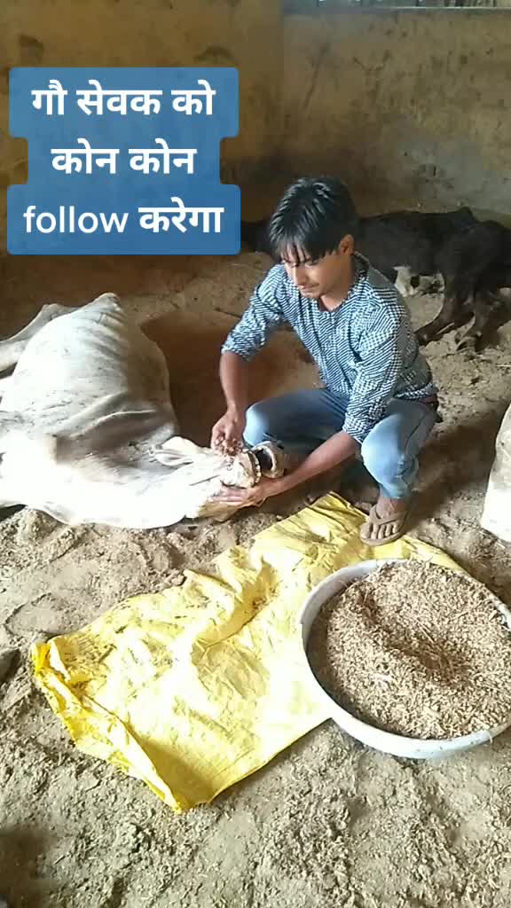 @sainiajeet390