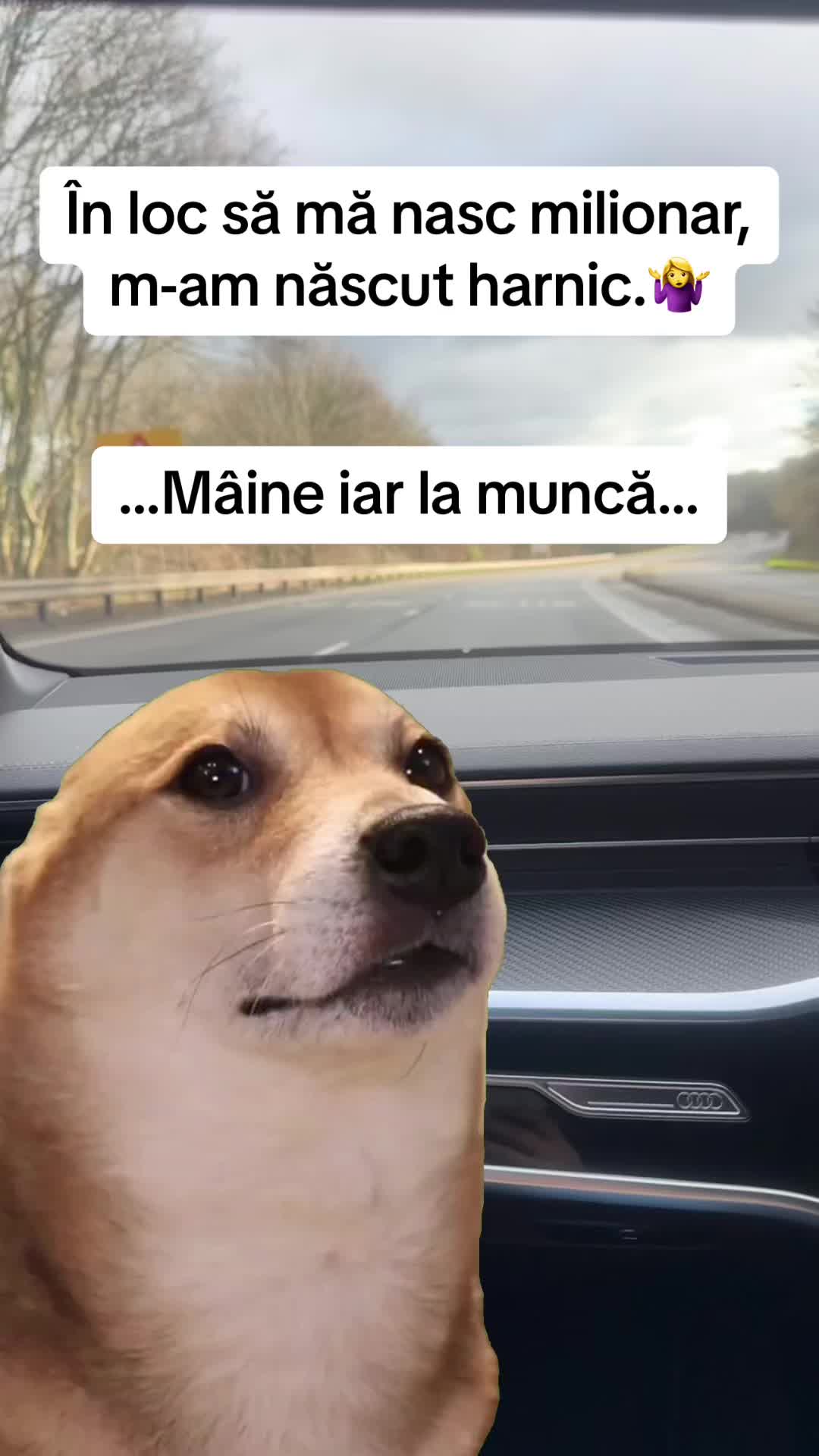 @Crina Maria