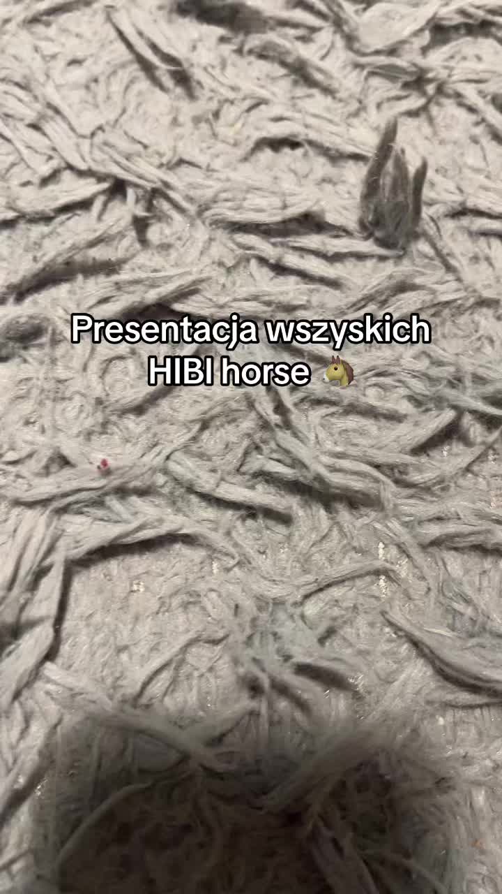 @Hibbi.horse 🐴