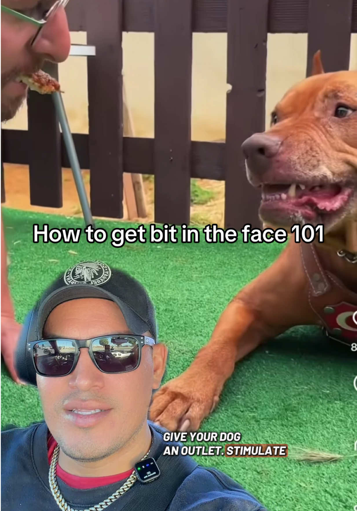 @🪶TheN8tiveDogfather🐾