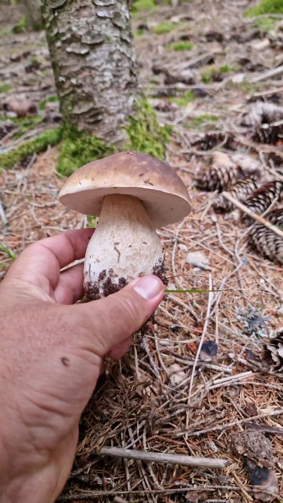 @Dan 🍄&zwj;🟫 Le Champologue