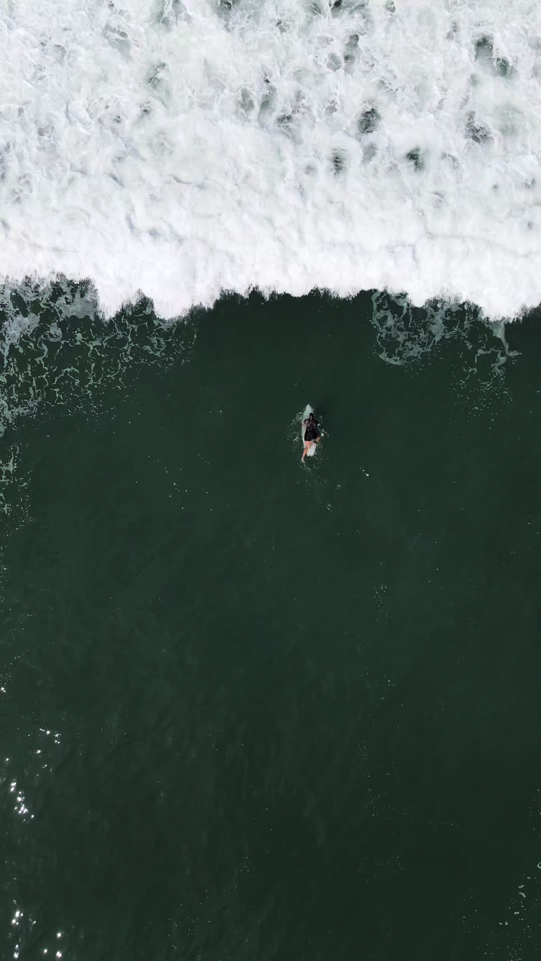 @surfing.goddesses