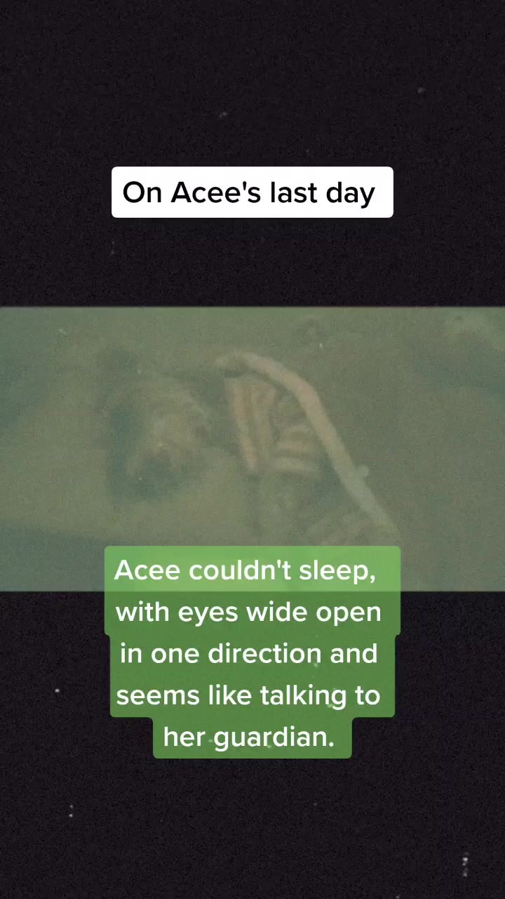 @Acee